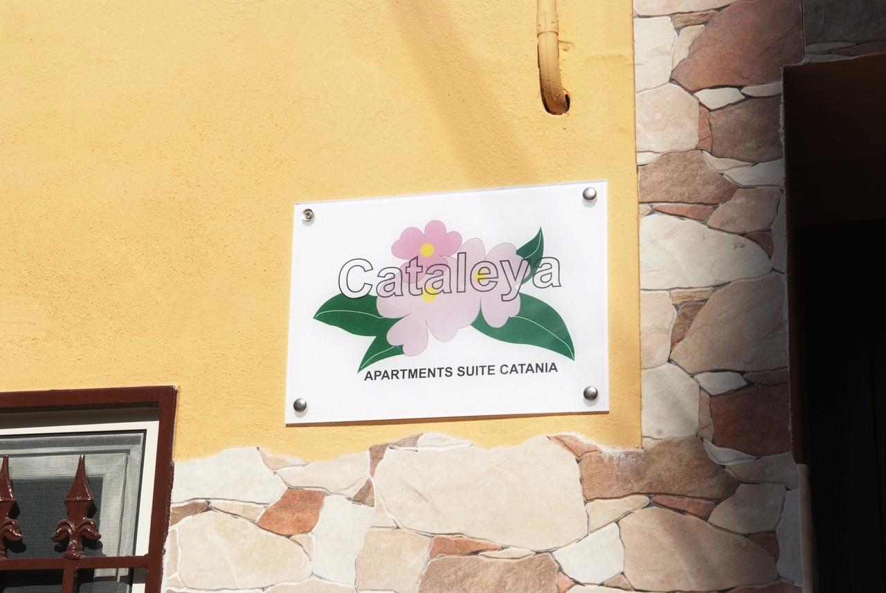 Apartamento Cataleya CTA Exterior foto